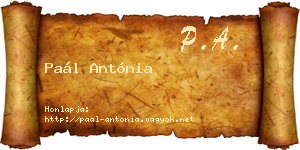Paál Antónia névjegykártya